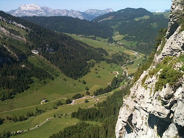 Tournette