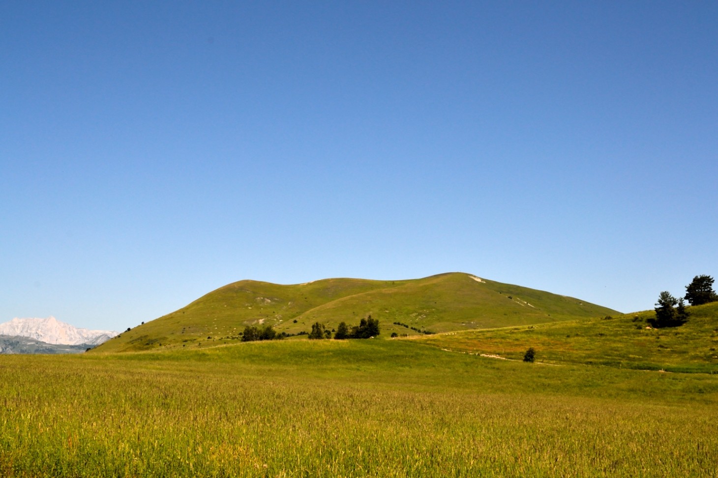 Puy de Manse