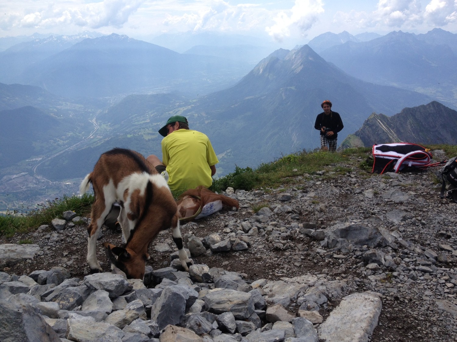 Le sommet et notre nouvelle amie la chevre qui s'était perdue et nous a suivie jusqu'en bas!