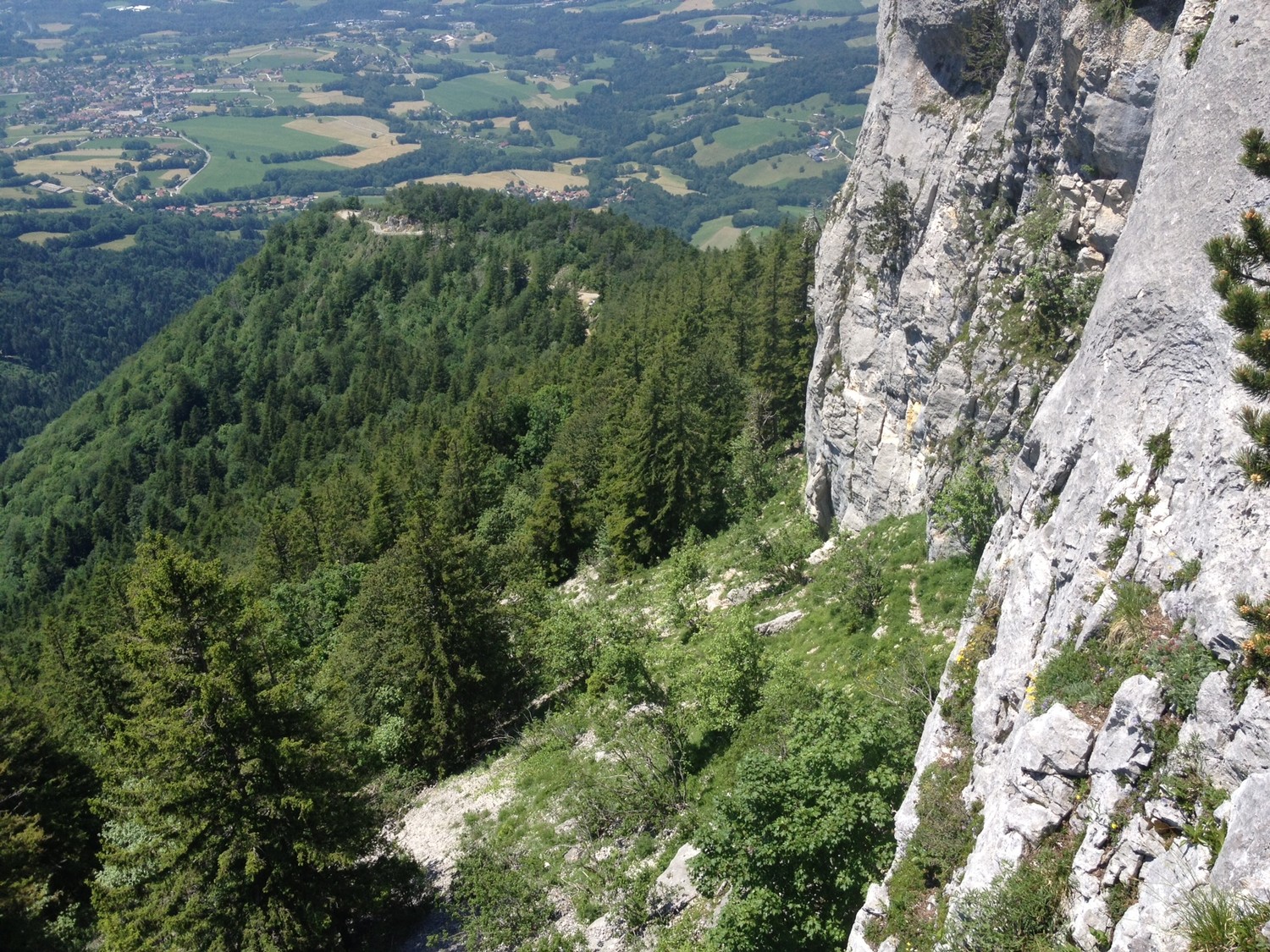 La falaise