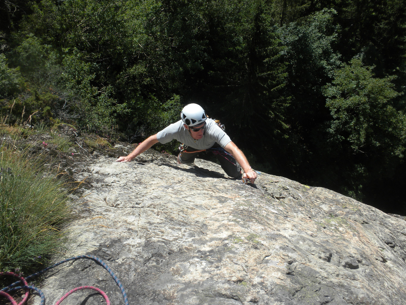 Bibi en action