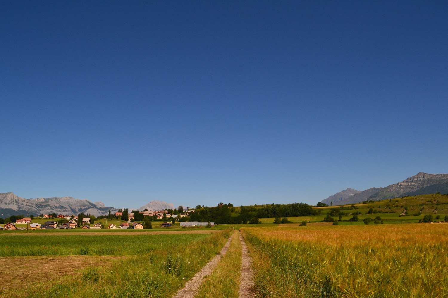 Plaine de Lachaup