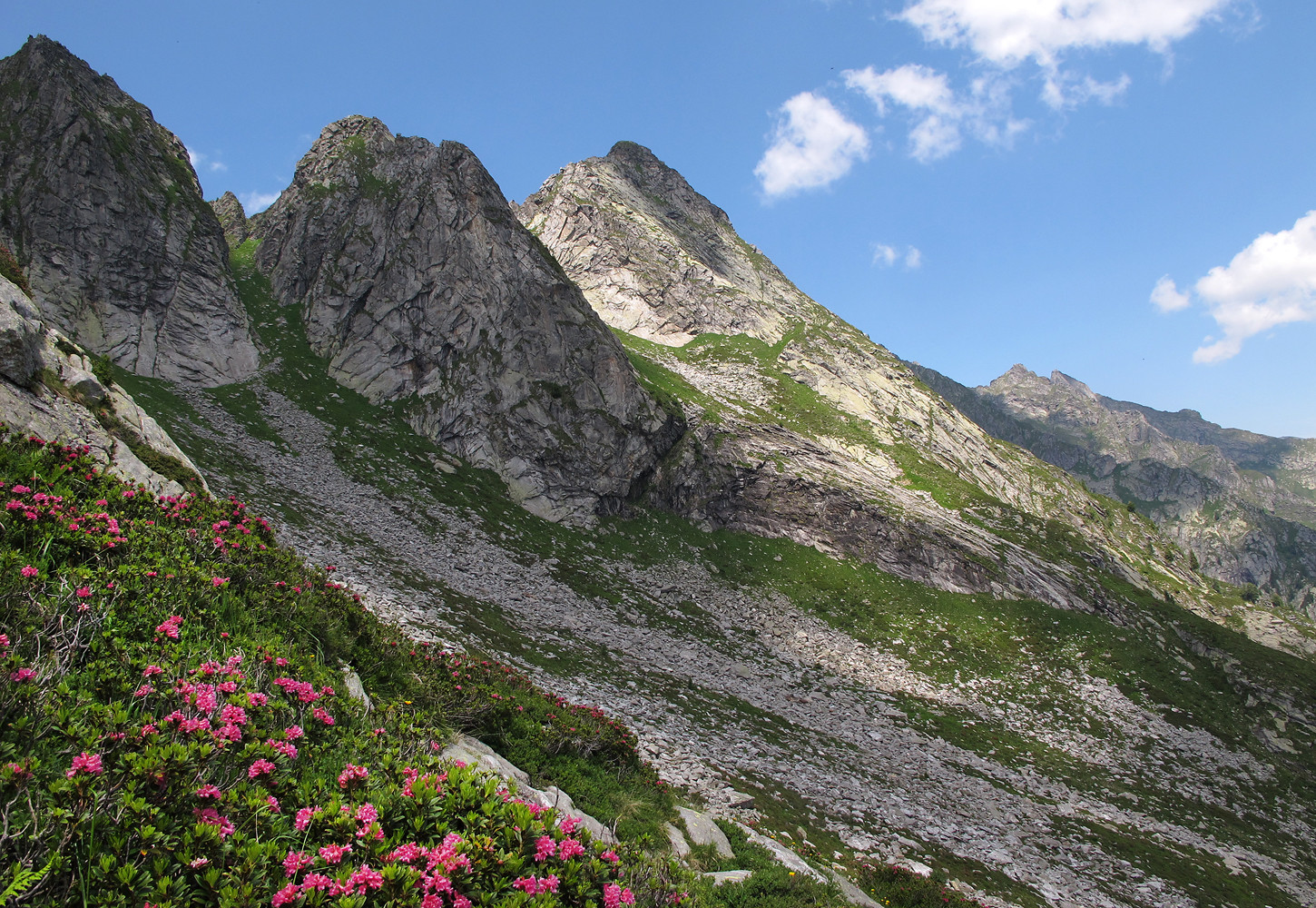 Pizzo Camparasca; la vetta da SE