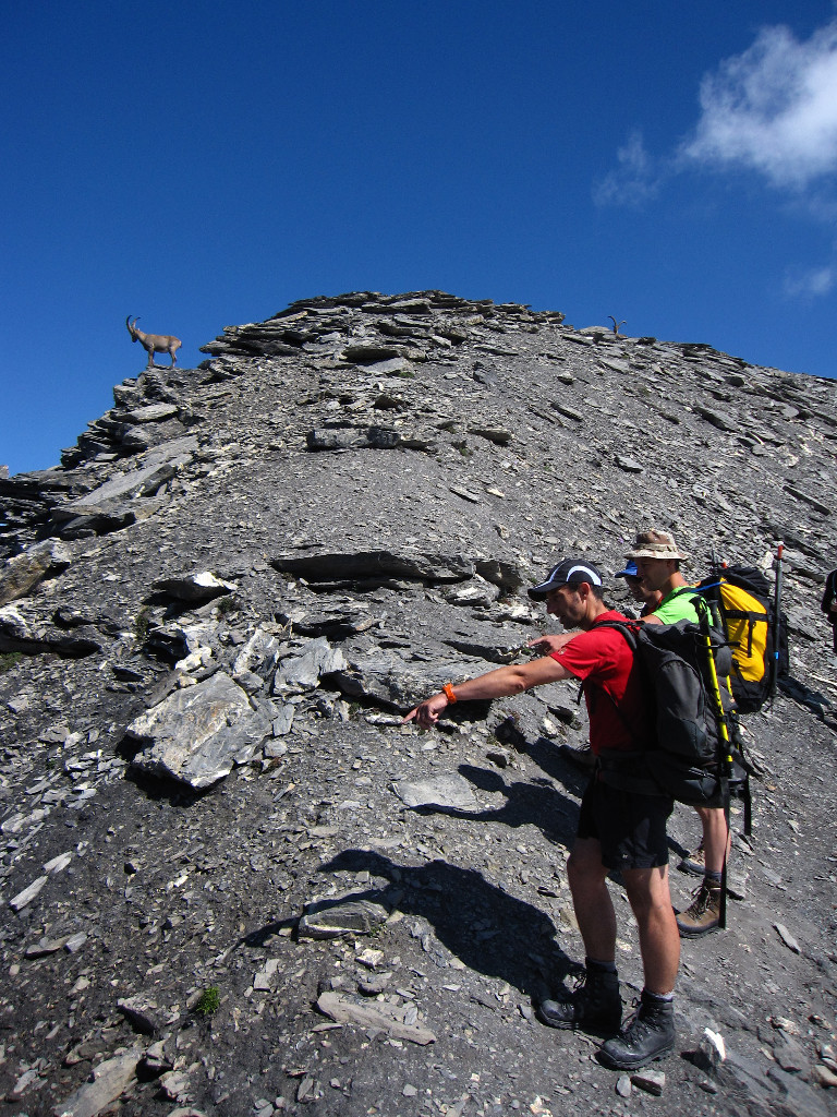On s'apprête à attaquer l'arête nord ...
