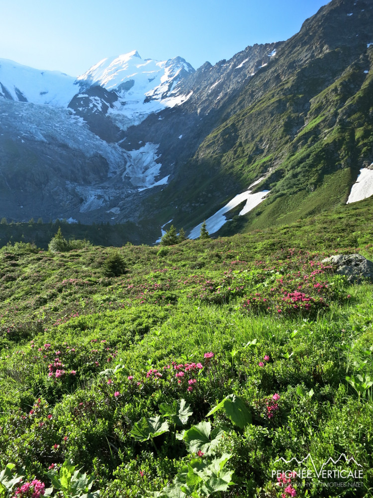 Aiguille de Bionnassay