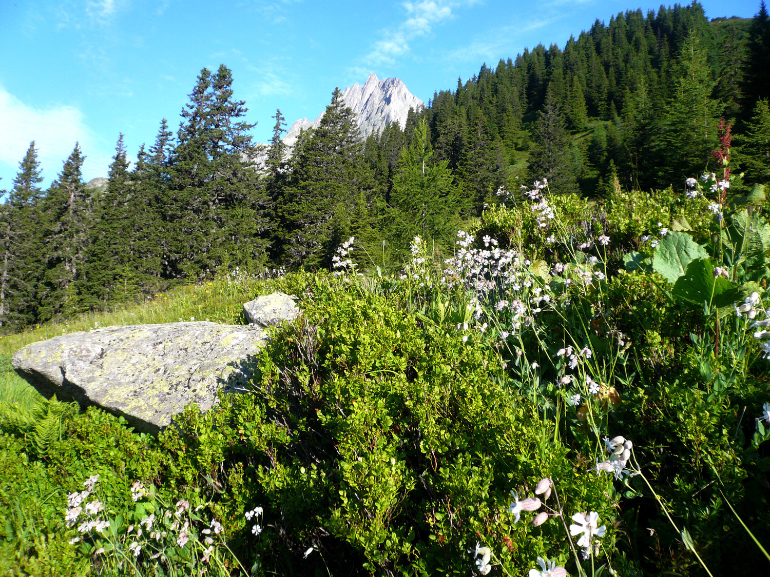 Montée à la cabane Salbit : au fond de profil, la fameuse arête sud