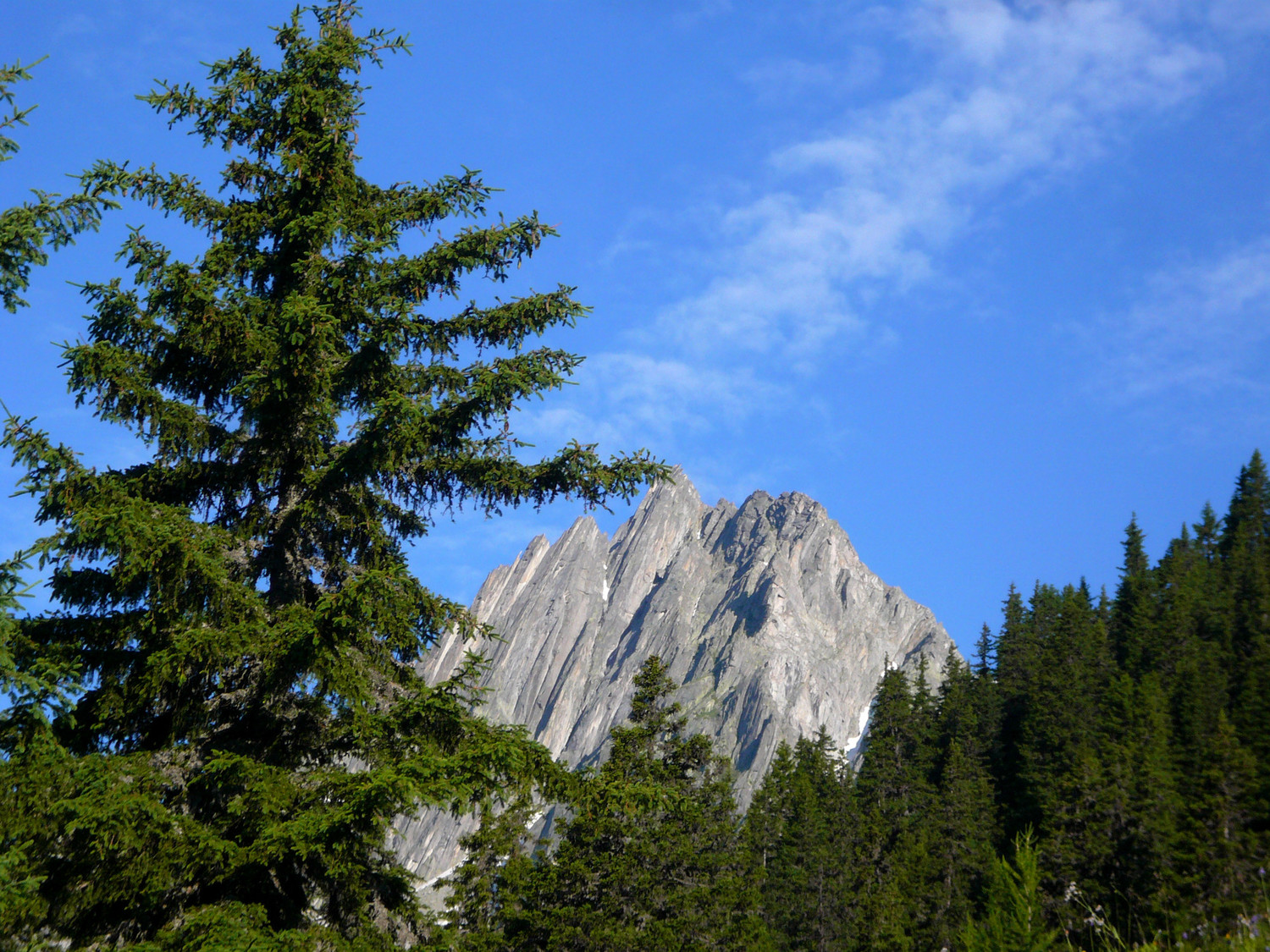 Montée à la cabane Salbit : au fond de profil, la fameuse arête sud