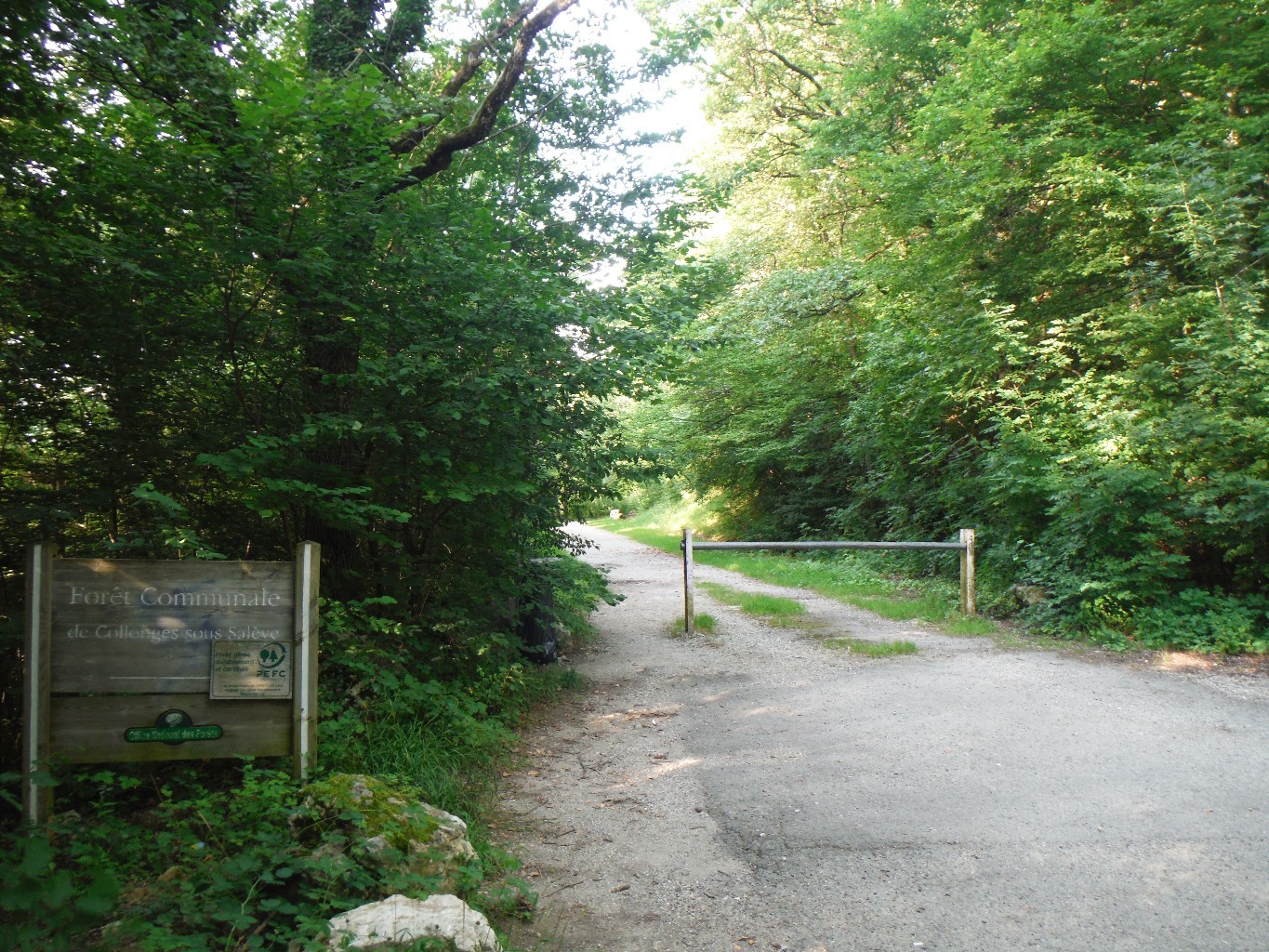 Chemin menant au départ de la Grande Varappe