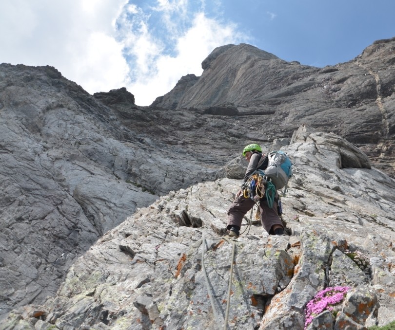 fin de l'arête intermédiaire