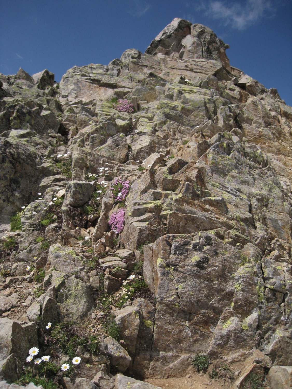 Belvedere - montée vers Belvedere sur des gradins bien fleuris