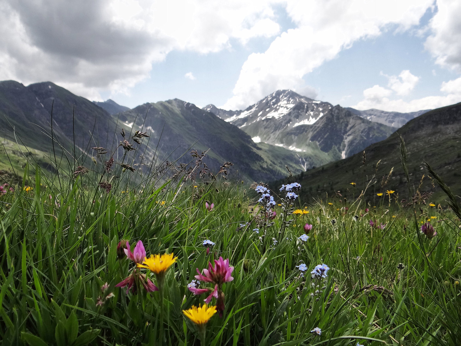 Vallon de Dziule