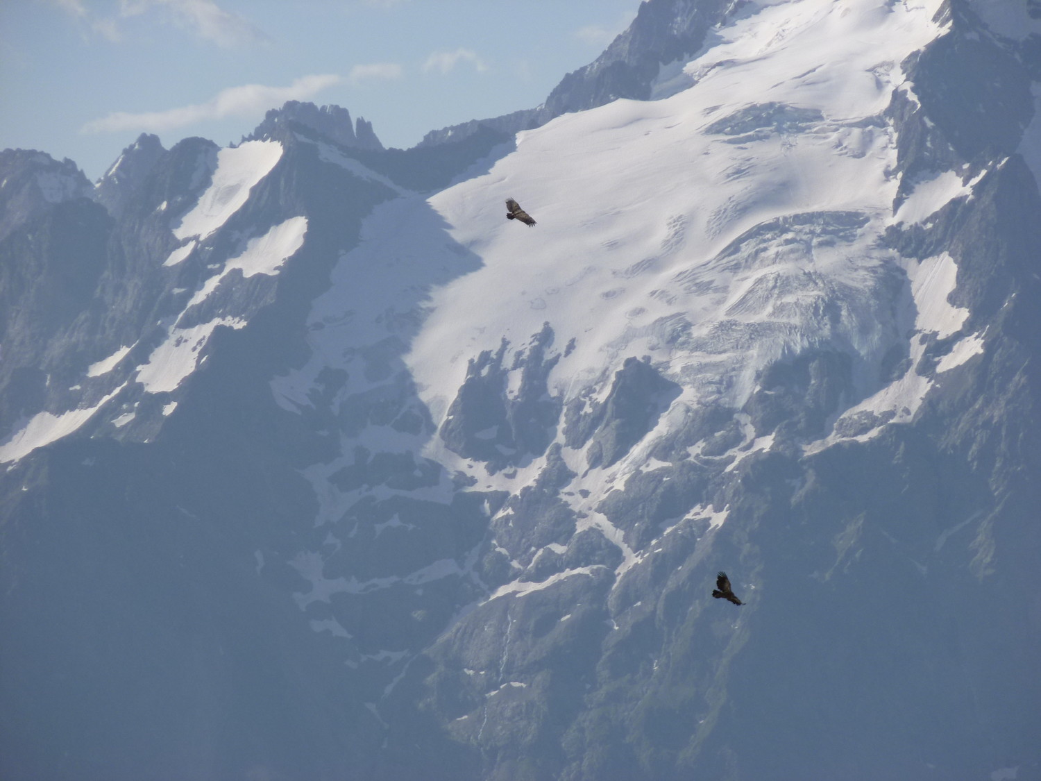 Aigles