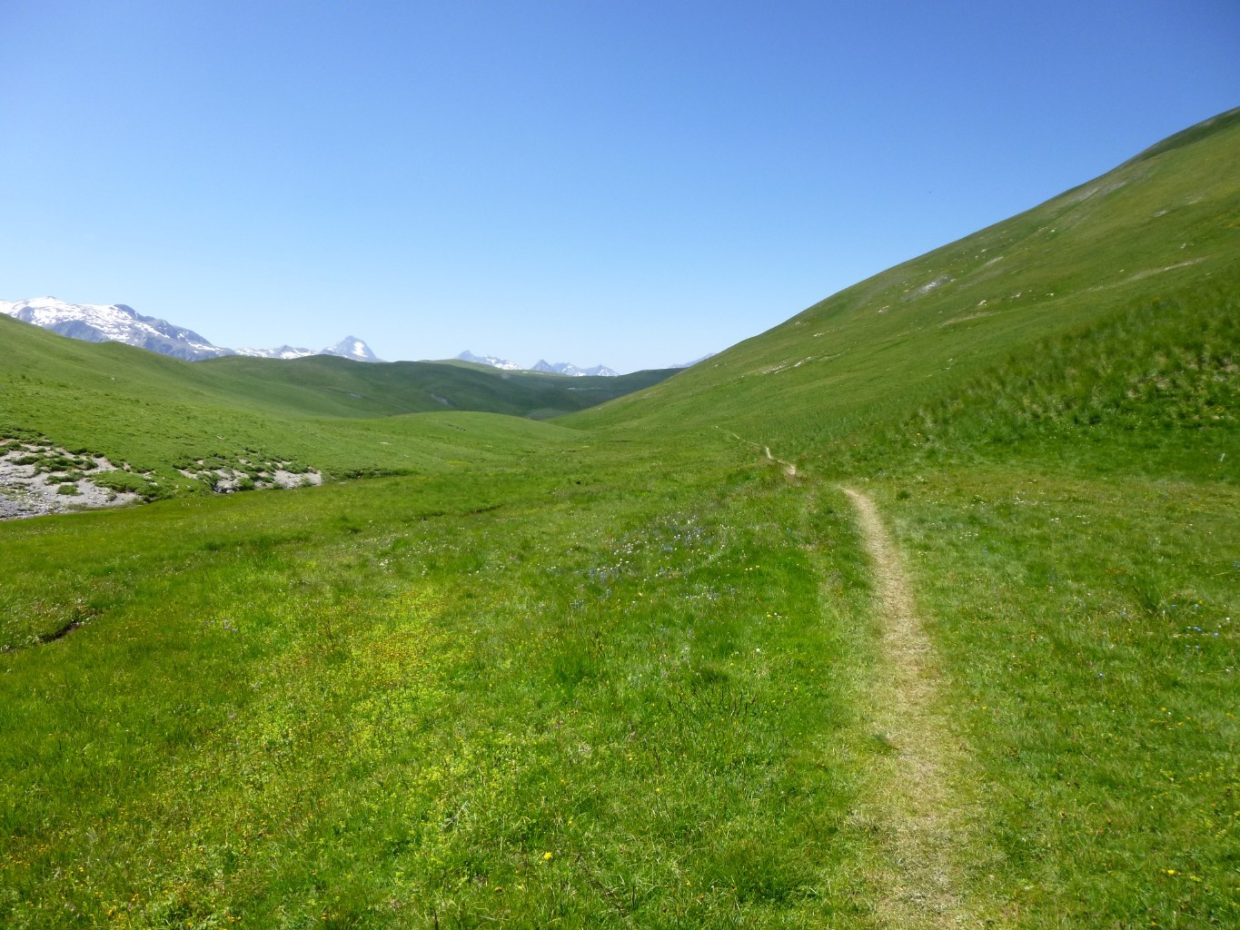 Vallon
