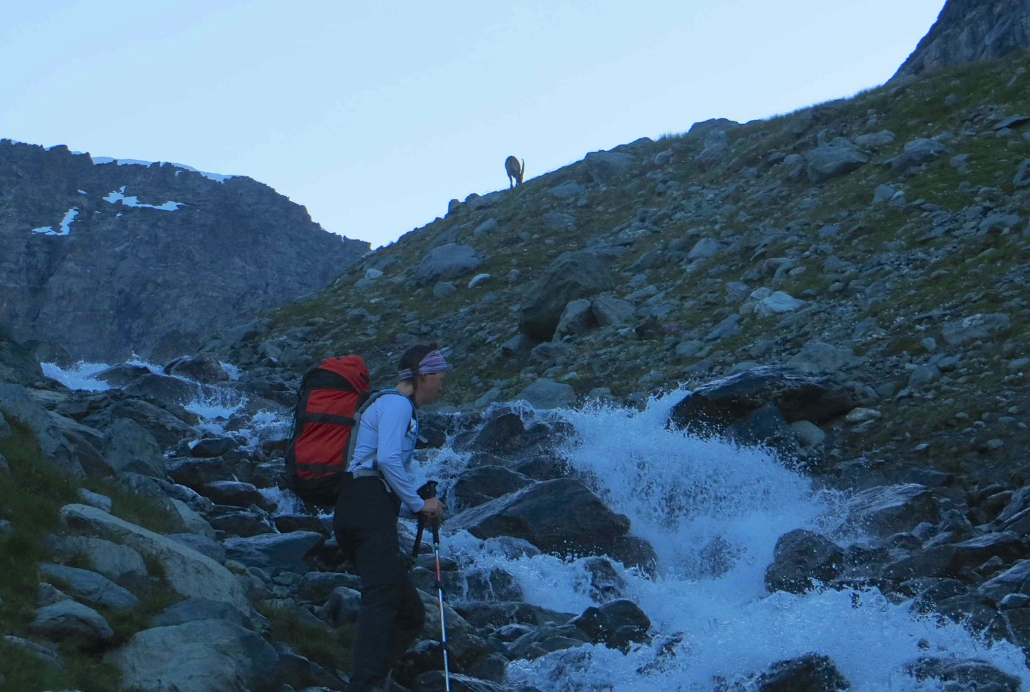 Traversée du torrent. Le bouquetin s'en fiche de notre présence