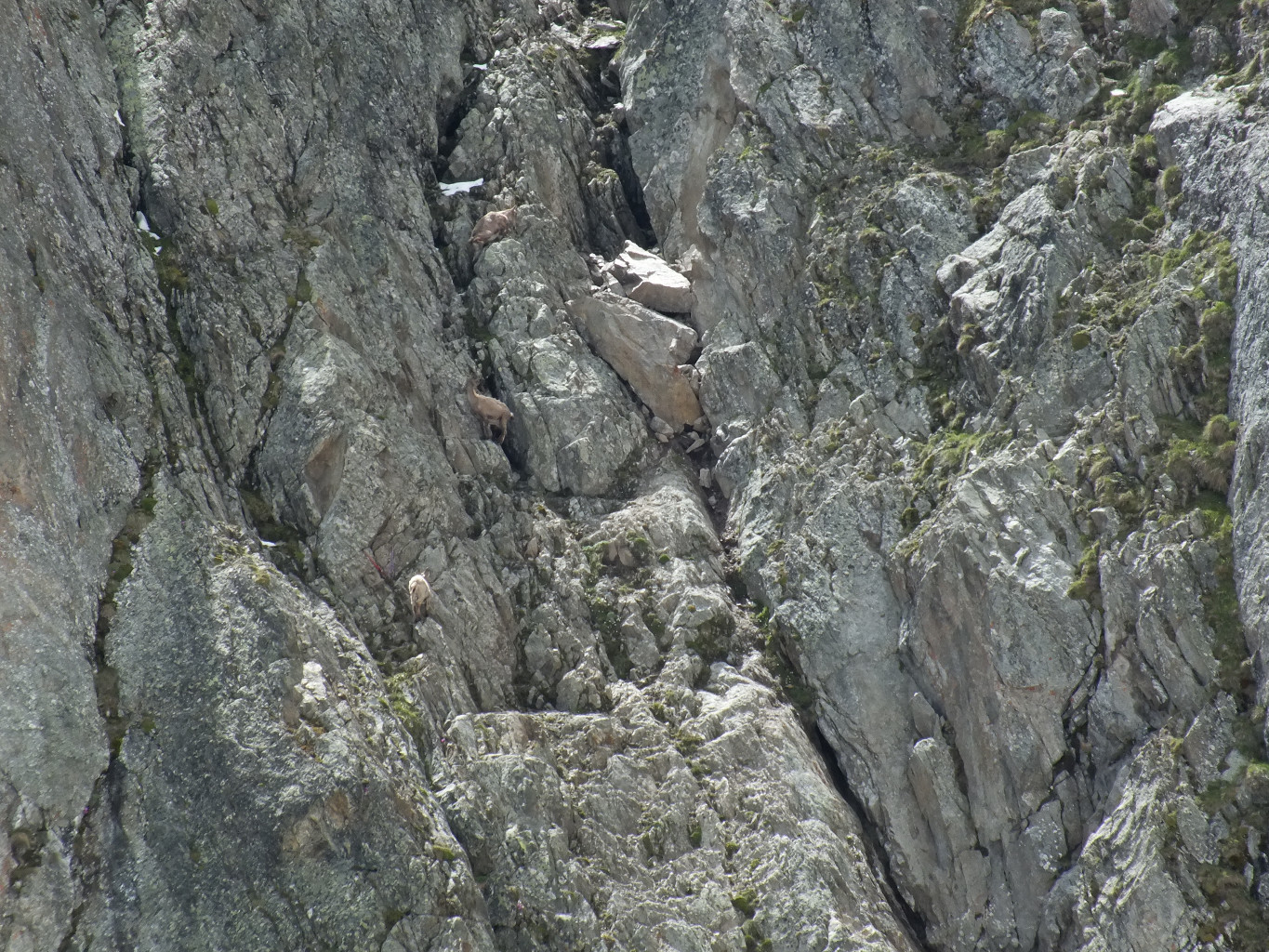 Col des Chasseurs, ceux-ci ne se préoccupent guère de l'équipement présent dans le couloir .....