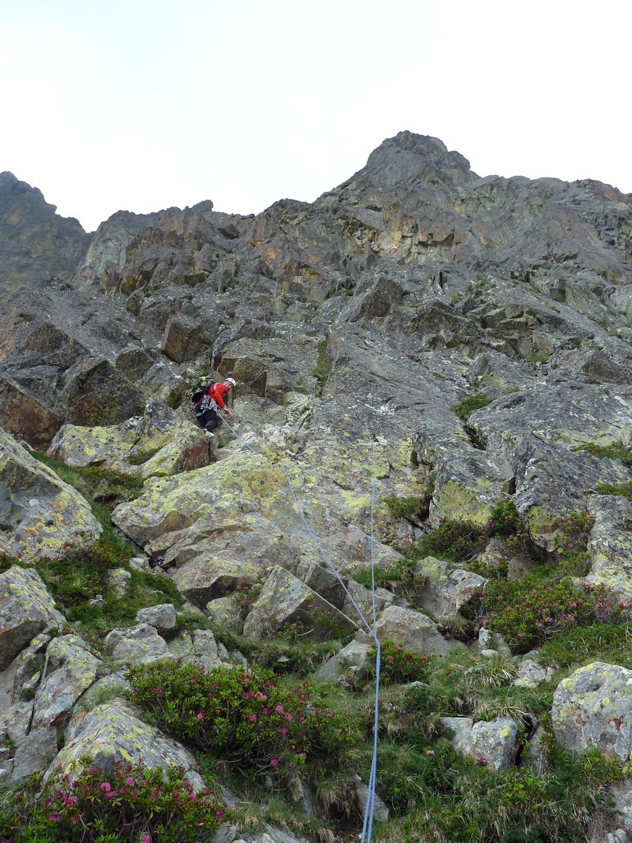Jule jardine dans le bouclier