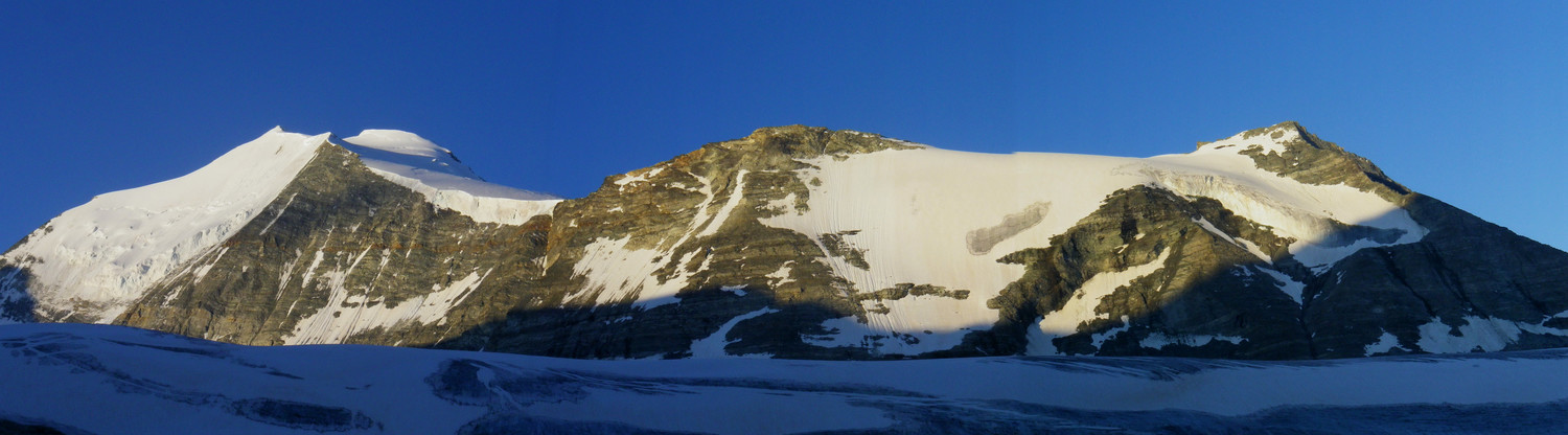 Bishorn matinal
