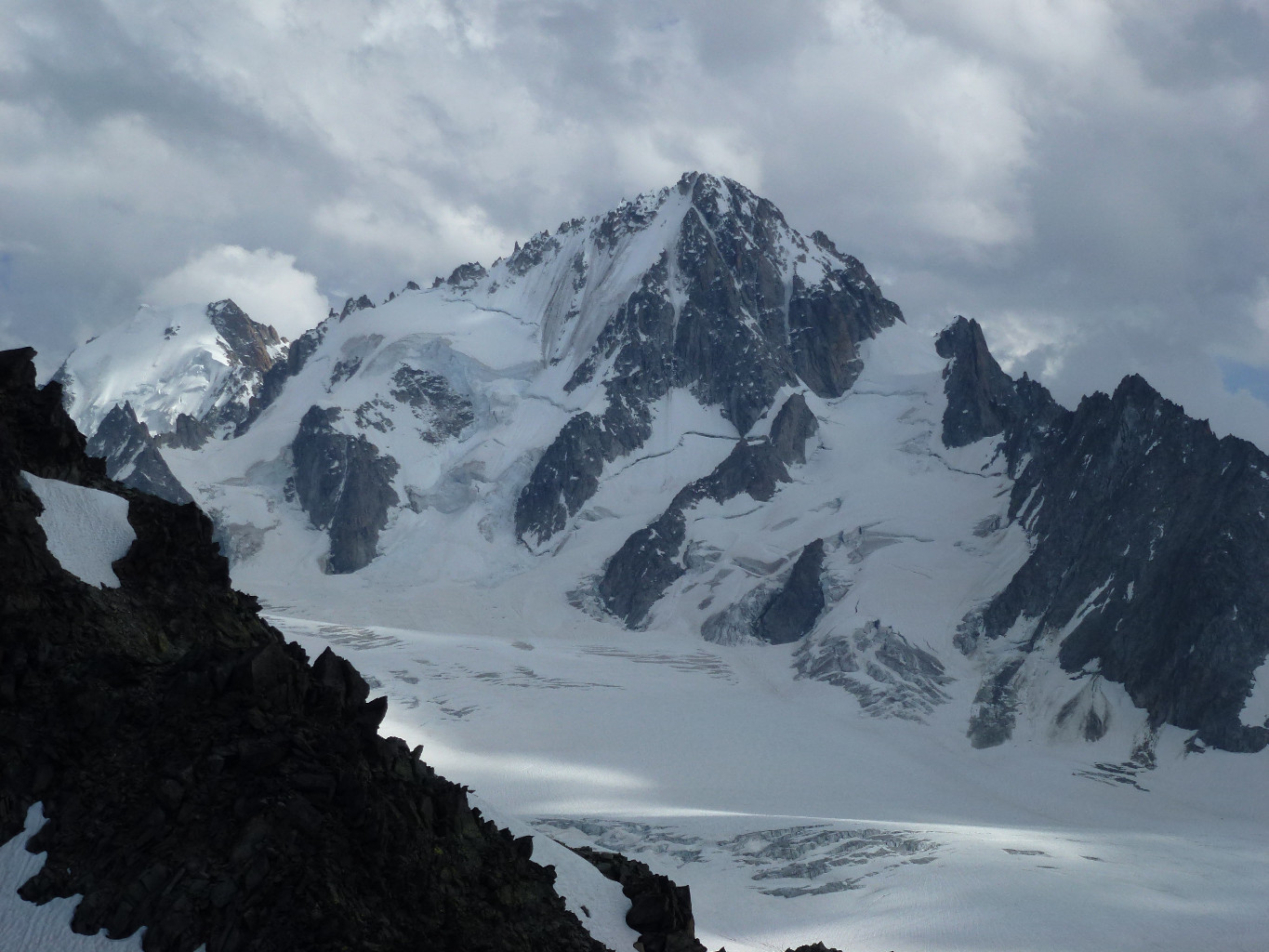 Détail sur le Chardonnet
