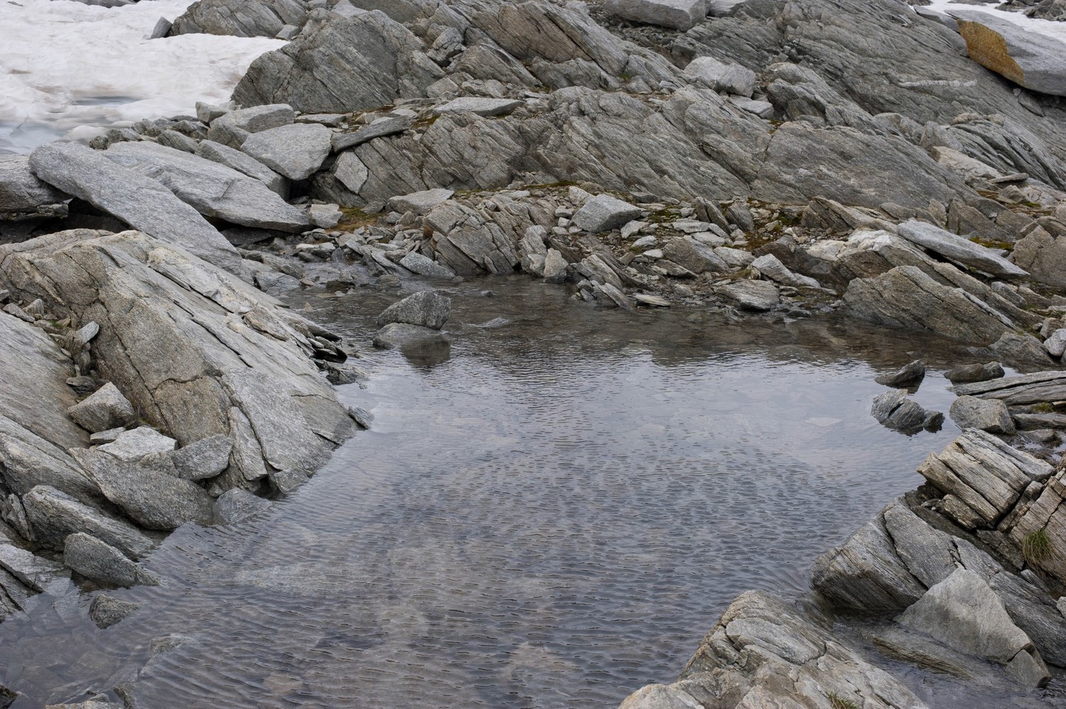Piscine, pour rêver lors de la canicule