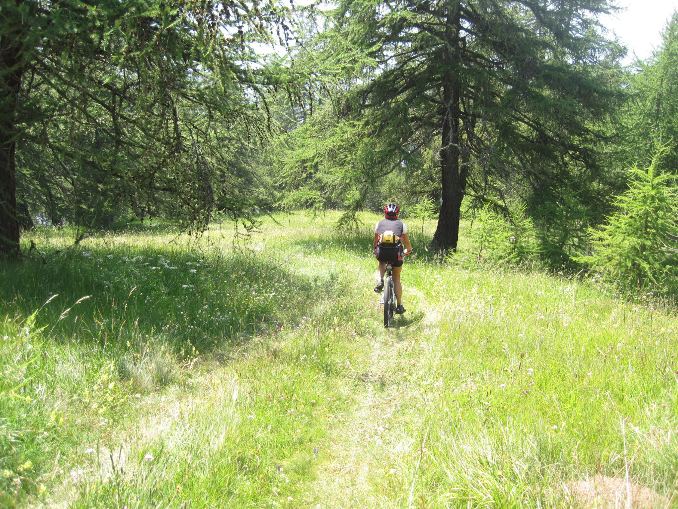Single-track verso Nissod