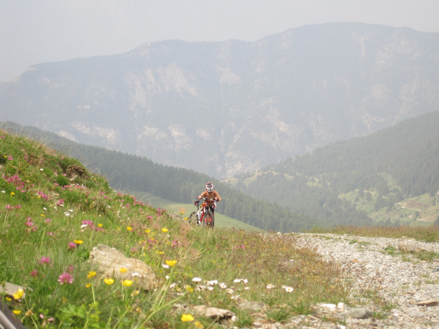 Verso la fine della poderale che sale al Passo della Portola