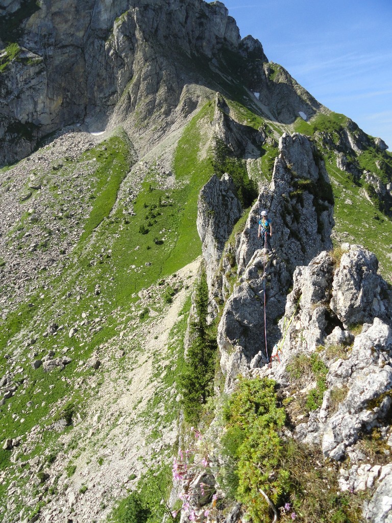 La fameuse Enjambée