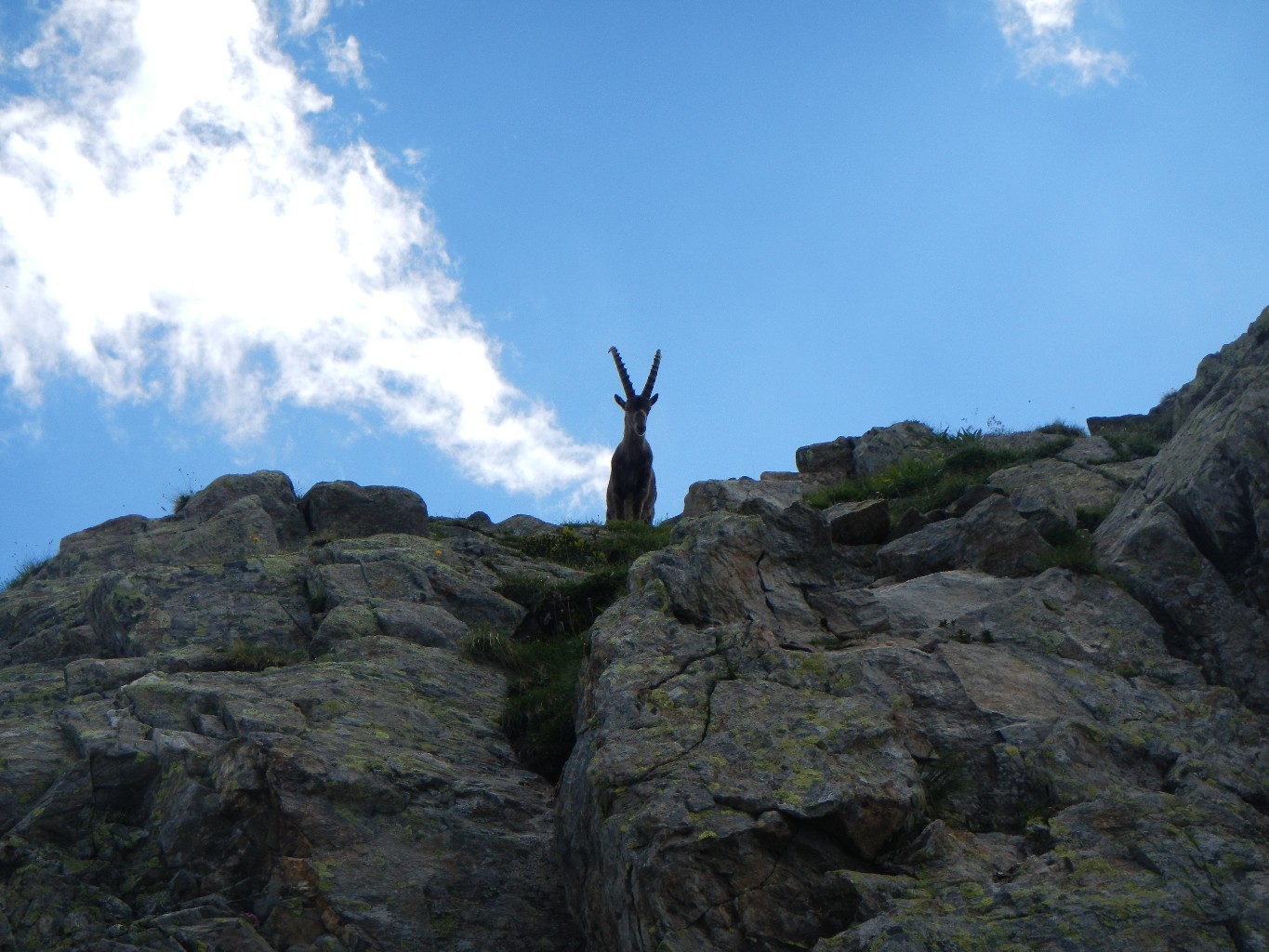 Le gardien de l'arête