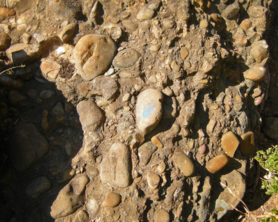 puddingstone rock is everywhere in this area puddingstone rock is everywhere in this area
