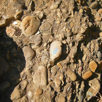 puddingstone rock is everywhere in this area