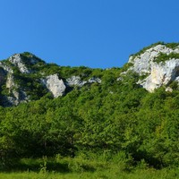 Vue d'ensemble de la falaise