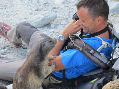 les marmottes du glacier blanc