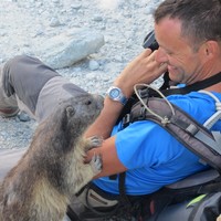 les marmottes du glacier blanc