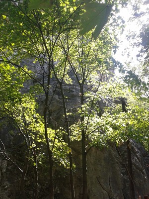The cliff us behind the trees