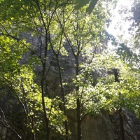 The cliff us behind the trees