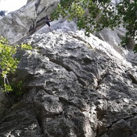 Efeugrat