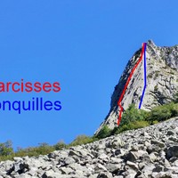 Les voies (estimations)