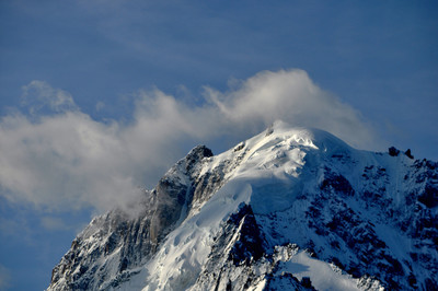 la verte la verte