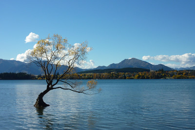 Wanaka, New Zealand Wanaka, New Zealand