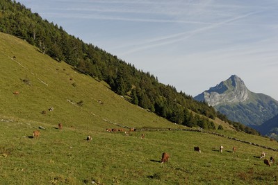 Levé de soleil dans la combe d'Arclusaz Levé de soleil dans la combe d'Arclusaz