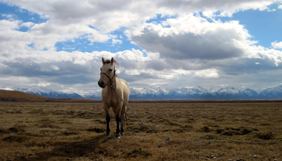 Mongolie trekking sept 2013 - sommets Darkhad Mongolie trekking sept 2013 - sommets Darkhad
