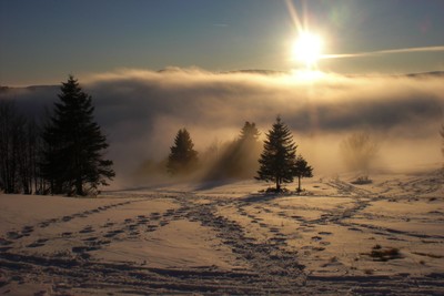 brouillard au Klinskopf (Vosges) brouillard au Klinskopf (Vosges)