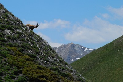 Le guetteur Le guetteur
