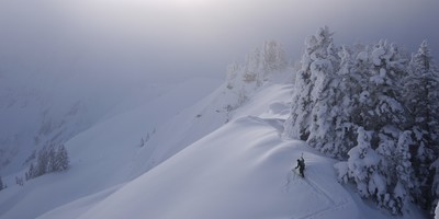 Lumières naturelles à deux spatules du stratus Lumières naturelles à deux spatules du stratus