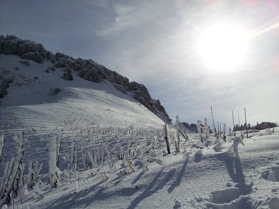 Premières neiges de saison Premières neiges de saison
