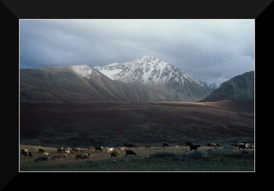Altaï Tavan Bogd, Mongolie (Août 2012) Altaï Tavan Bogd, Mongolie (Août 2012)