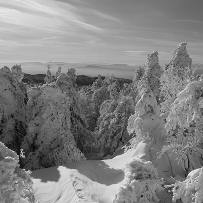Neige en Montagne Noire. Neige en Montagne Noire.