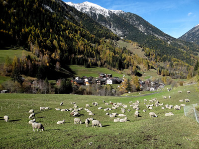 Issert - Val Ferret