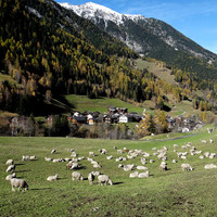 Issert - Val Ferret