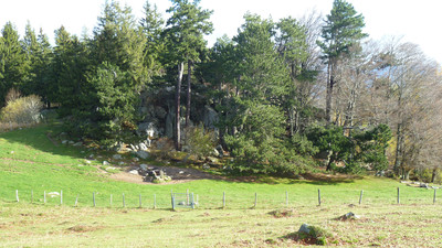 Le site