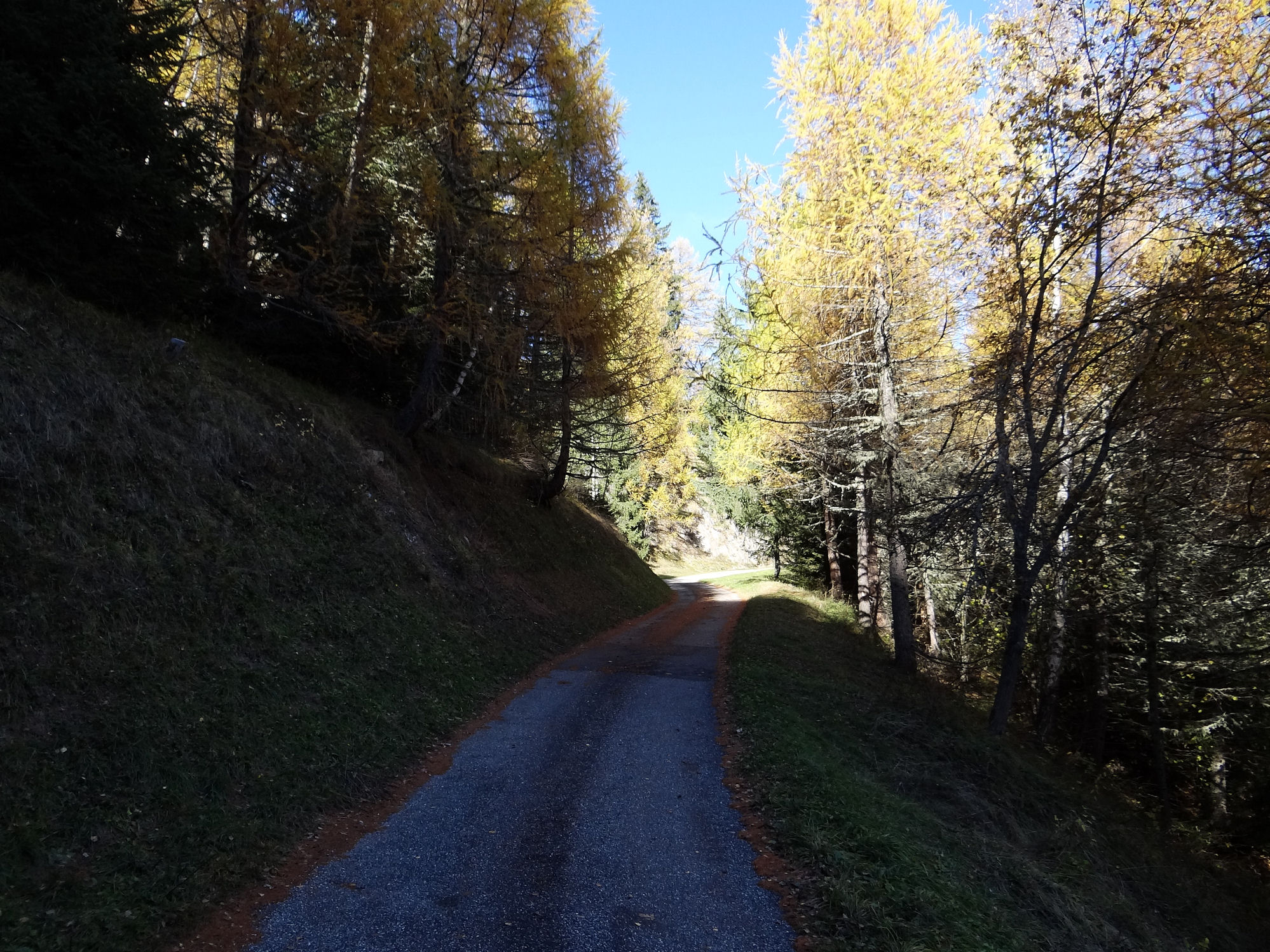 Val Ferret (Suisse) De la Fouly à Champex